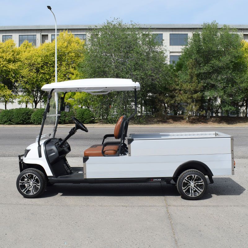 ZYCAR Mini Truck